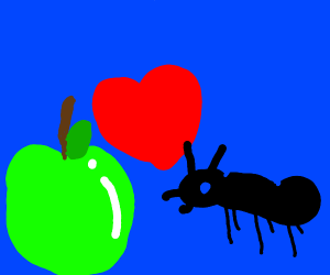 Ant love apple