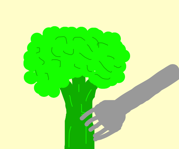 Broccoli