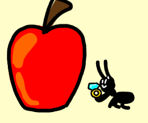 black ant wants to marry an apple