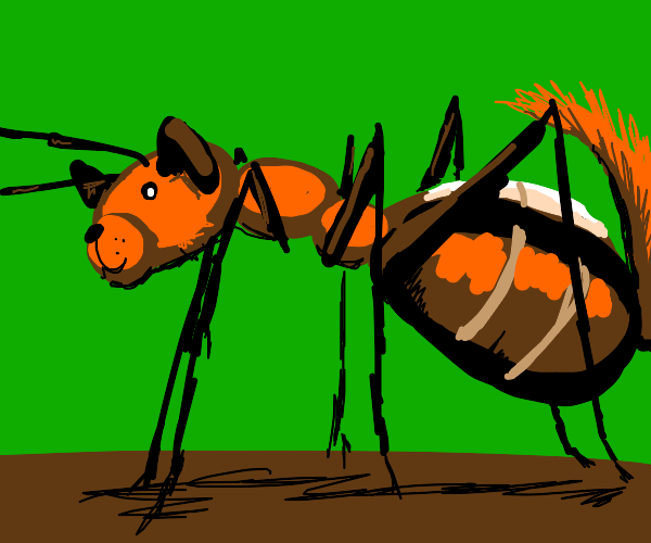 orange insect/dog hybrid