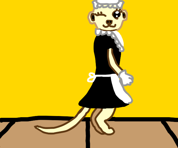 Meerkat Maid