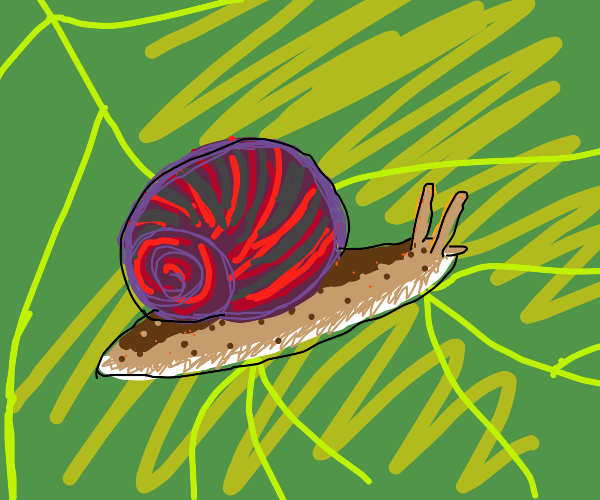 snail on leaf (close up)