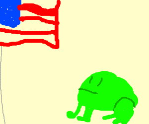 KEK the frog stares at the american flag