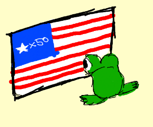 frog looking at us flag