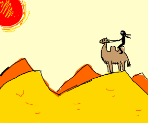 Ninja on a Camel