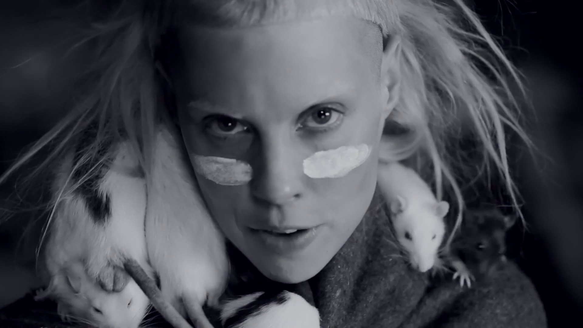 Yolandi Visser