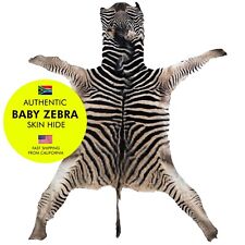 Baby burchell zebra for sale  Rancho Palos Verdes