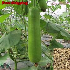 Bottle gourd seeds for sale  Ontario