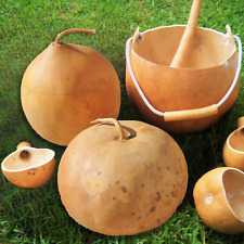 Bushel gourd seeds for sale  Pittsburgh