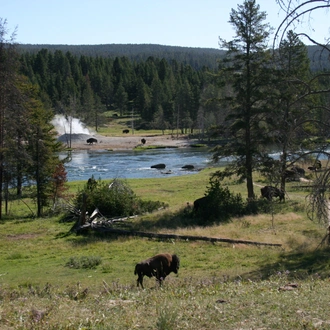 tourhub | Exodus Adventure Travels | Yellowstone Walks & Wildlife 