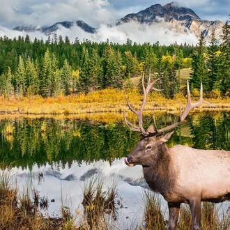 tourhub | Explore! | Walking in the Canadian Rockies 