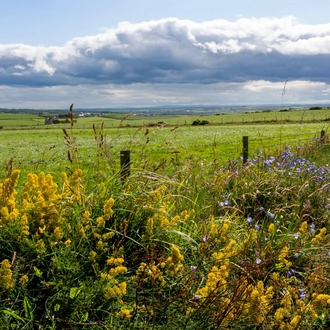 tourhub | Brightwater Holidays | Private Gardens of Northern Ireland 12031 