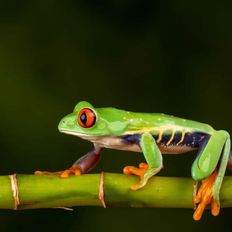 tourhub | Explore! | Nicaragua - Land of Lakes and Volcanoes 