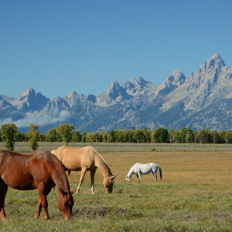 tourhub | Tours of Distinction | National Parks of America's West 