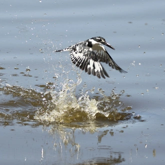 tourhub | Wildlife Dreams | Kruger National Park Photographic Safari 