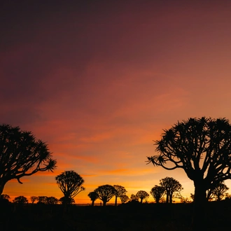 tourhub | Brightwater Holidays | Spring Flowers of Namaqualand 7951 