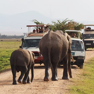 tourhub | Gracepatt Ecotours Kenya | Overnight Amboseli National Park Safari  