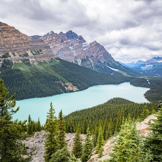 tourhub | Intrepid Travel | Canadian Rockies 