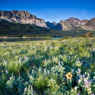 tourhub | Exodus Adventure Travels | Yellowstone Walks & Wildlife 