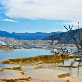 tourhub | Collette | Montana: Exploring Big Sky Country featuring Yellowstone & Glacier National Parks 