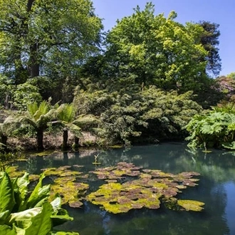 tourhub | Travel Editions | Gardens of Cornwall Tour 