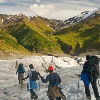 tourhub | On The Go Tours | Central Alaska Summer Camping - 11 days 