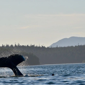 tourhub | Hello Nature Adventure Tours | 3 Day Broken Group Islands Expedition 