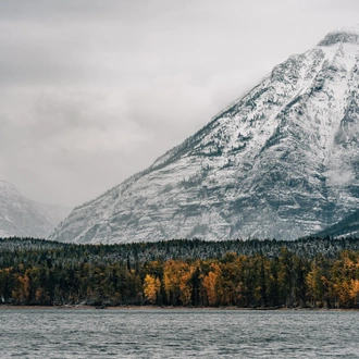 tourhub | Collette | Montana: Exploring Big Sky Country featuring Yellowstone & Glacier National Parks 