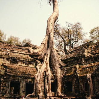 tourhub | Bonzer Tour | Cambodia History and Culture 10 days 9 nights 