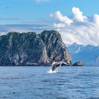 tourhub | Exodus Adventure Travels | Alaska Wildlife & Wilderness 