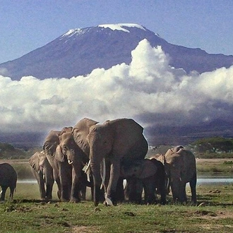 tourhub | Gracepatt Ecotours Kenya | Overnight Amboseli National Park Safari  