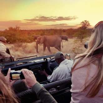 tourhub | G Adventures | Journeys: Explore Kruger National Park 