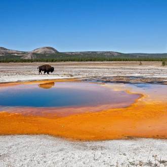 tourhub | Exodus Adventure Travels | Yellowstone Walks & Wildlife 