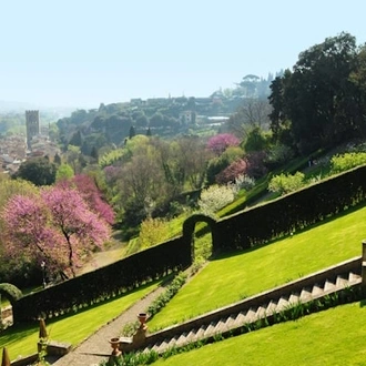 tourhub | Travel Editions | Great Gardens of Tuscany Tour 