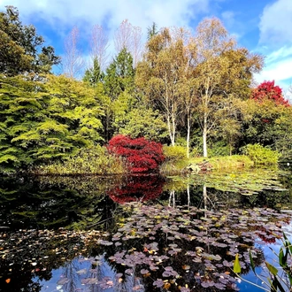 tourhub | Ramble Worldwide | North Devon Gardens 