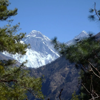 tourhub | Ramble Worldwide | Annapurna Trek & Chitwan National Park 