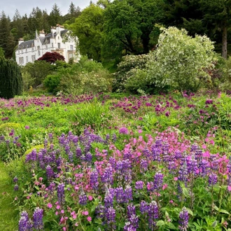 tourhub | Brightwater Holidays | Scotland: Best of Angus Gardens feat. The V&A Dundee Future Gardens Exhibition 10201 