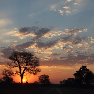 tourhub | Wildlife Dreams | Kruger National Park Photographic Safari 