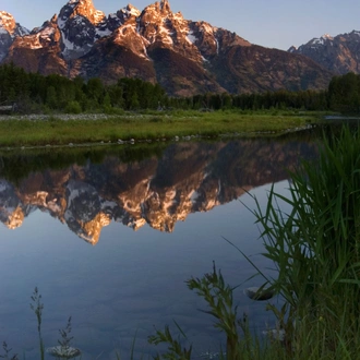 tourhub | Exodus Adventure Travels | Yellowstone Walks & Wildlife 