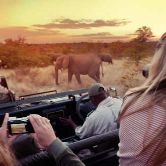 tourhub | G Adventures | Journeys: Explore Kruger National Park 