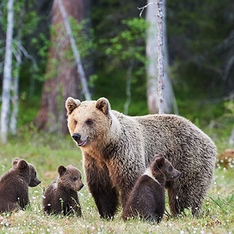 tourhub | Exodus Adventure Travels | Alaska Wildlife & Wilderness 