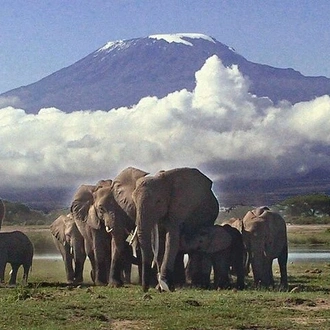 tourhub | Gracepatt Ecotours Kenya | Overnight Amboseli National Park Safari  