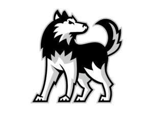 NIU Huskies Logo