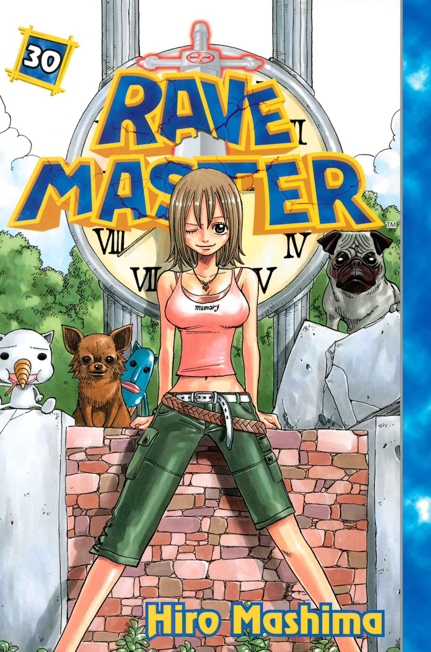 poster for Rave Master, Volume 30