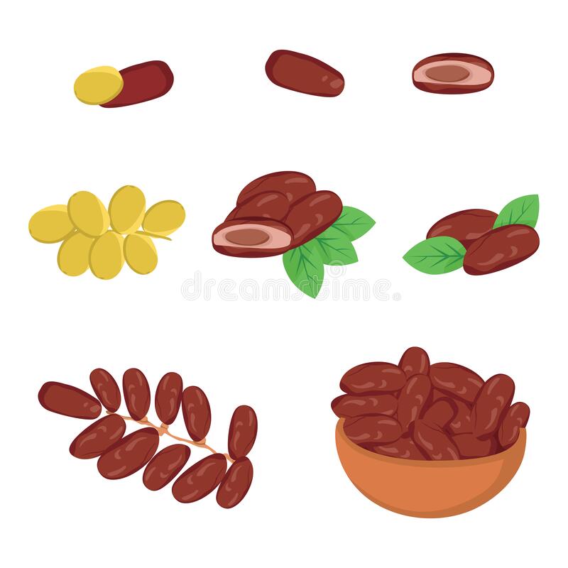 Detail Gambar Kurma Vector Png Nomer 27