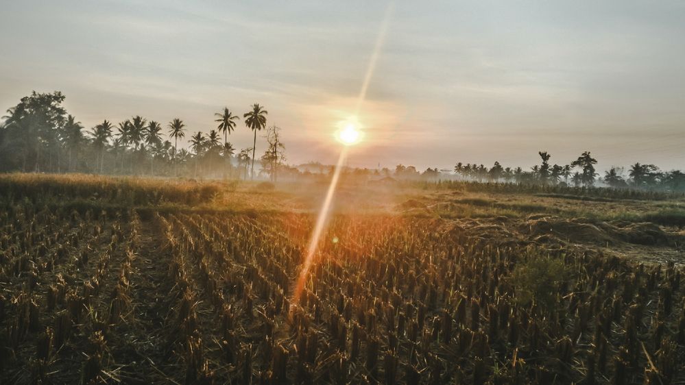 Detail Gambar Suasana Di Pagi Hari Nomer 2