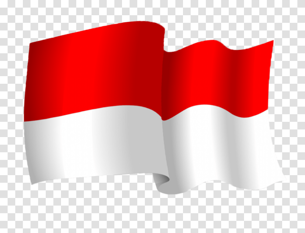 Detail Indonesian Flag Vector Png Nomer 6