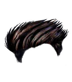 Detail Hair Png Files Nomer 44