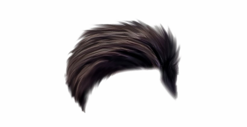 Detail Hair Png Files Nomer 5