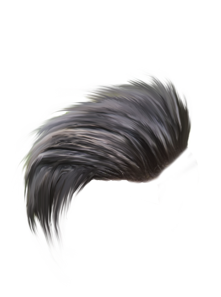 Detail Hair Png Files Nomer 11